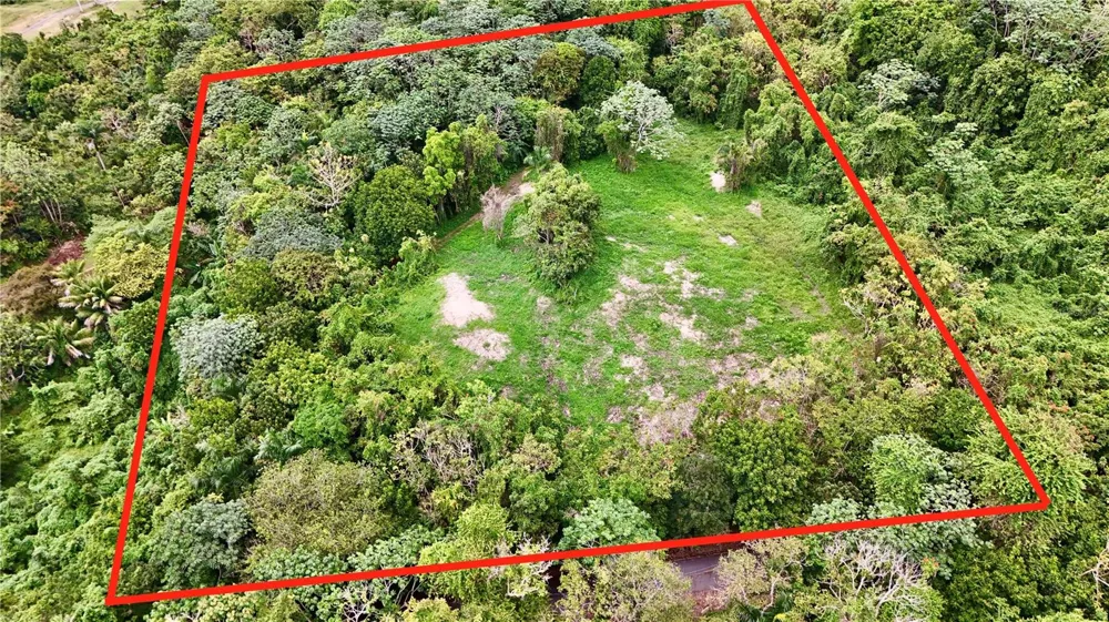 BO. CIDRAL PR-450 San Sebastian, PR 00685