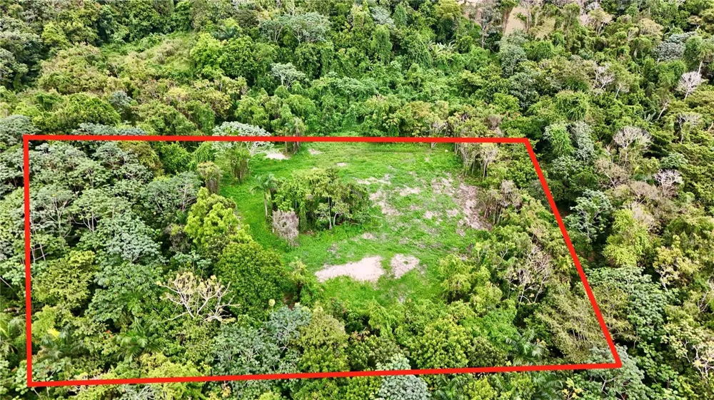 BO. CIDRAL PR-450 San Sebastian, PR 00685