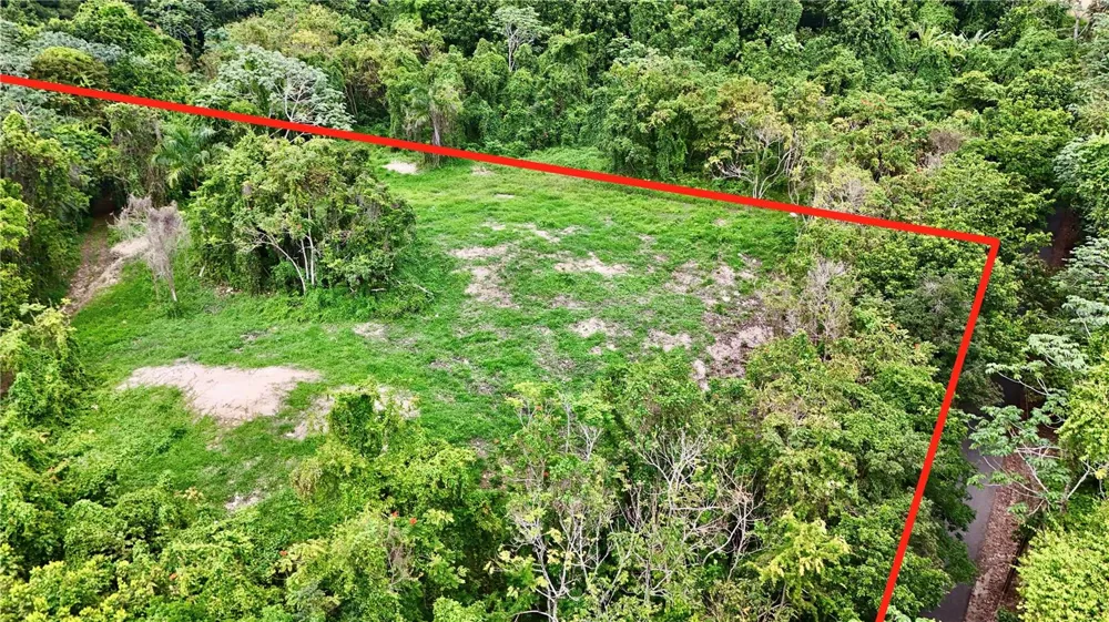 BO. CIDRAL PR-450 San Sebastian, PR 00685