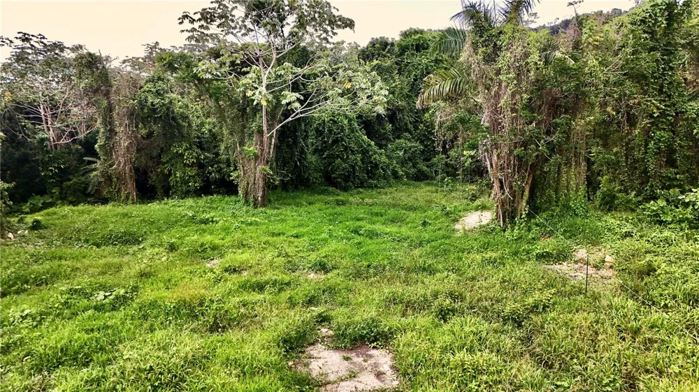 BO. CIDRAL PR-450 San Sebastian, PR 00685