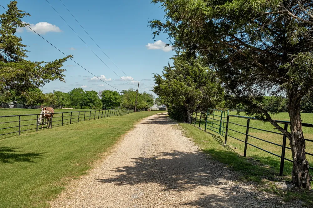 14392 State Highway 78 Blue Ridge, TX 75424