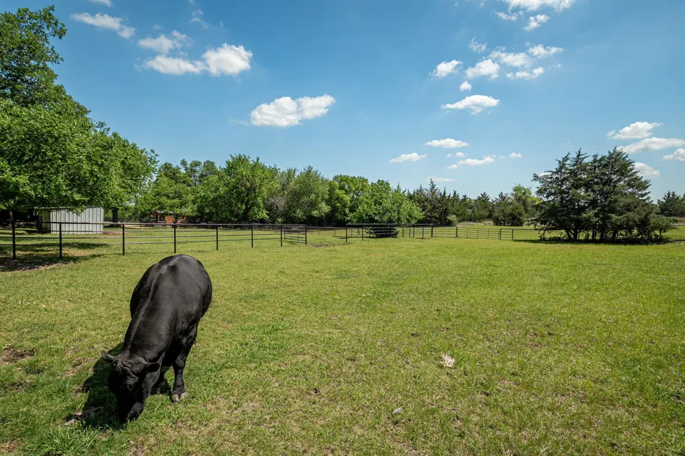 14392 State Highway 78 Blue Ridge, TX 75424