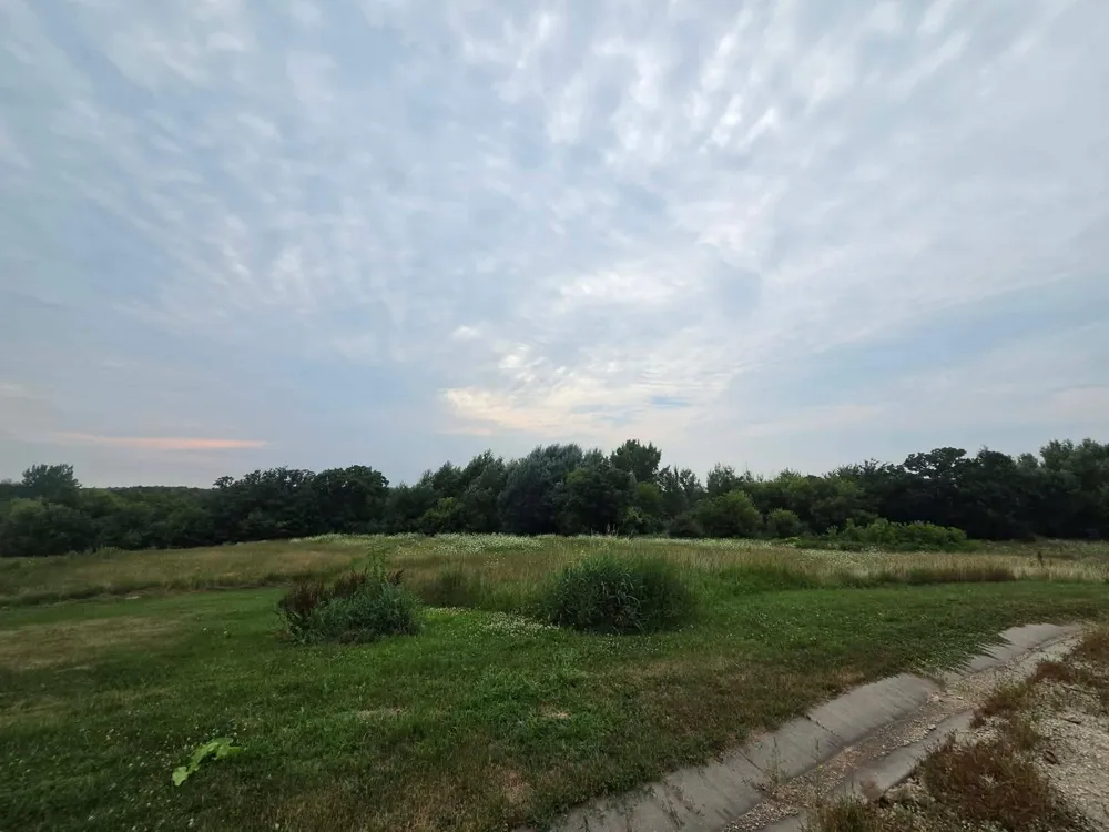 23671 County Road 37 Saint Charles, MN 55972