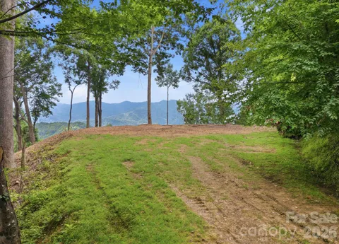 99999 Davidson Gap Road #79