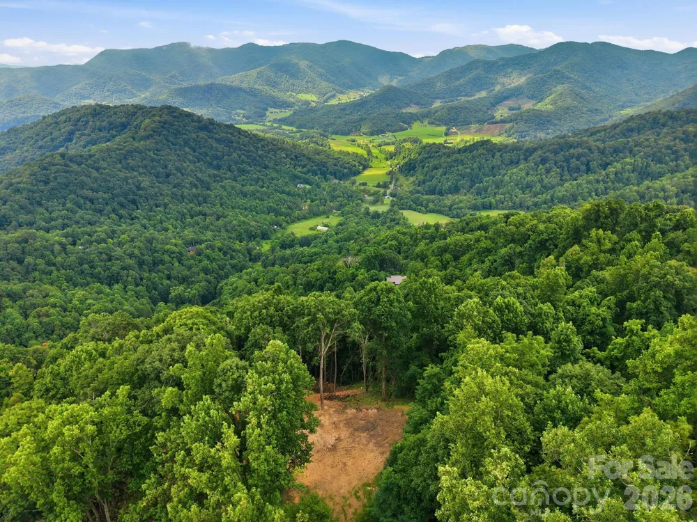 99999 Davidson Gap Road #79 Leicester, NC 28748