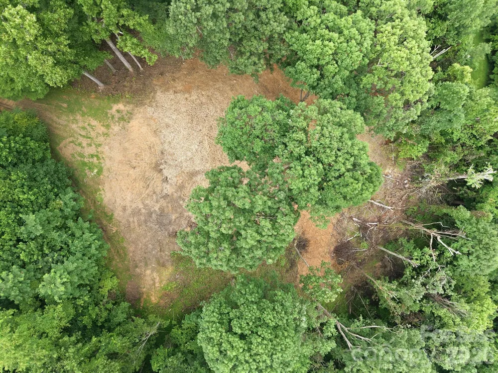 99999 Davidson Gap Road #79 Leicester, NC 28748
