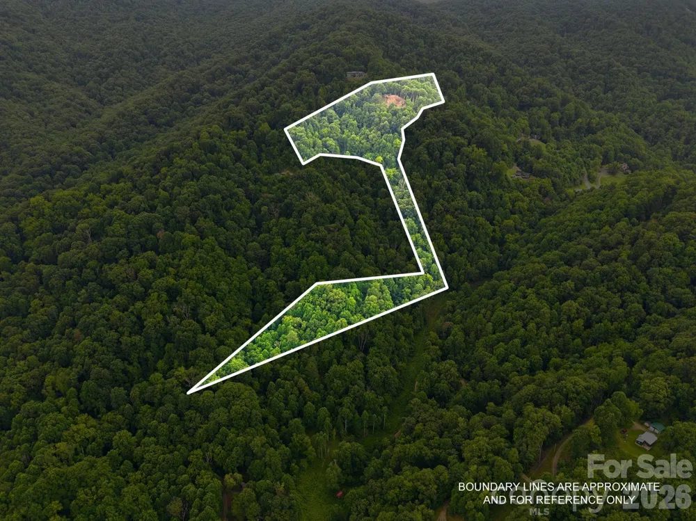 99999 Davidson Gap Road #79 Leicester, NC 28748