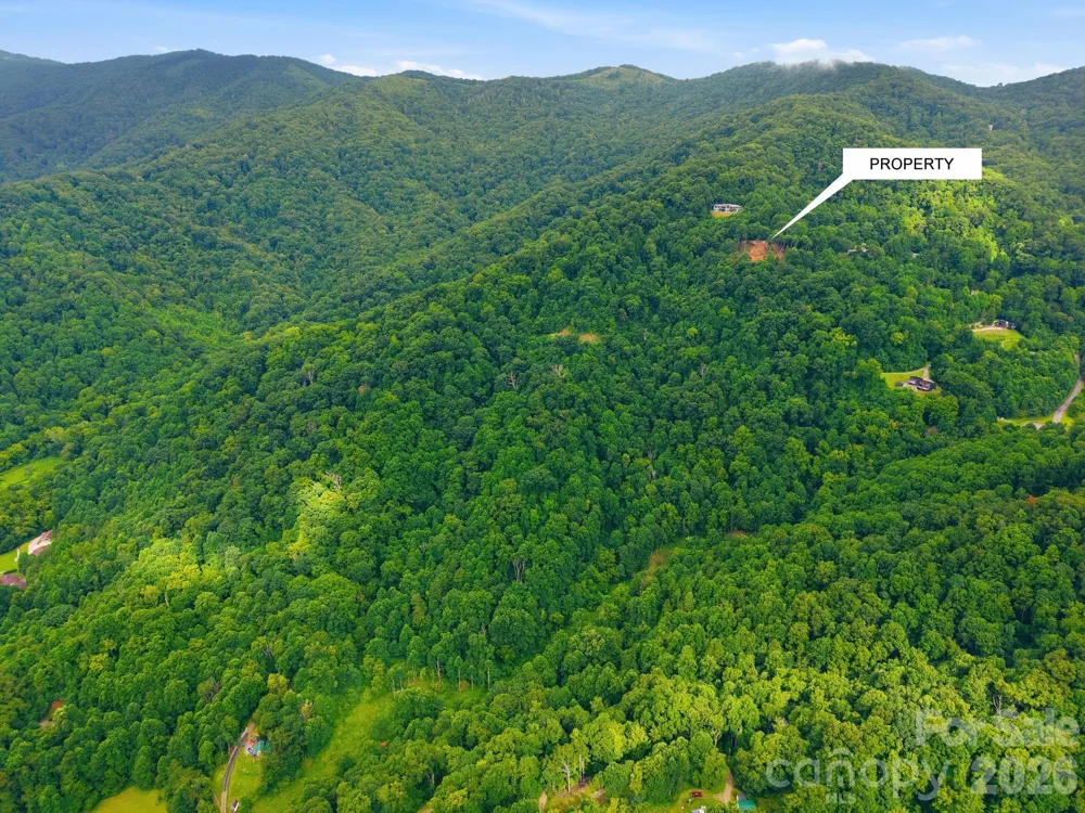 99999 Davidson Gap Road #79 Leicester, NC 28748