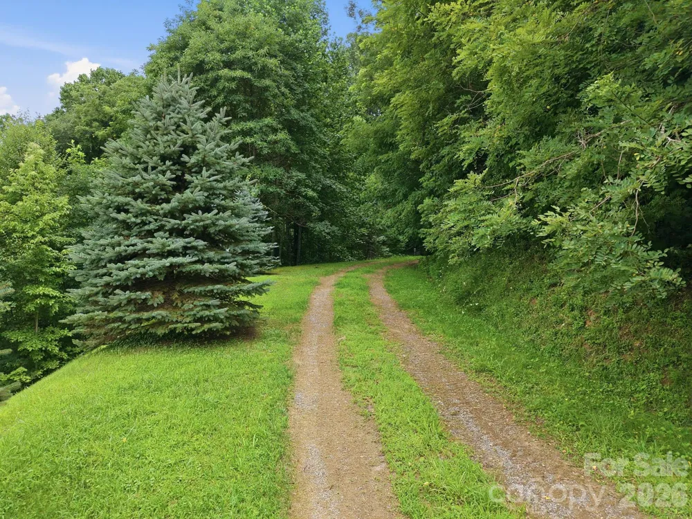 99999 Davidson Gap Road #79 Leicester, NC 28748
