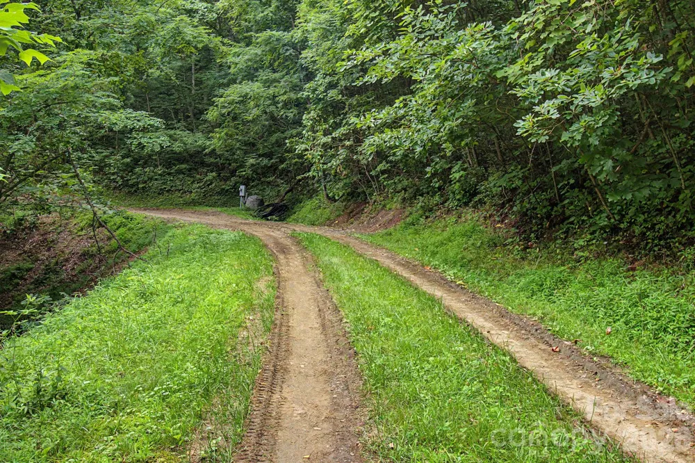 99999 Davidson Gap Road #79 Leicester, NC 28748