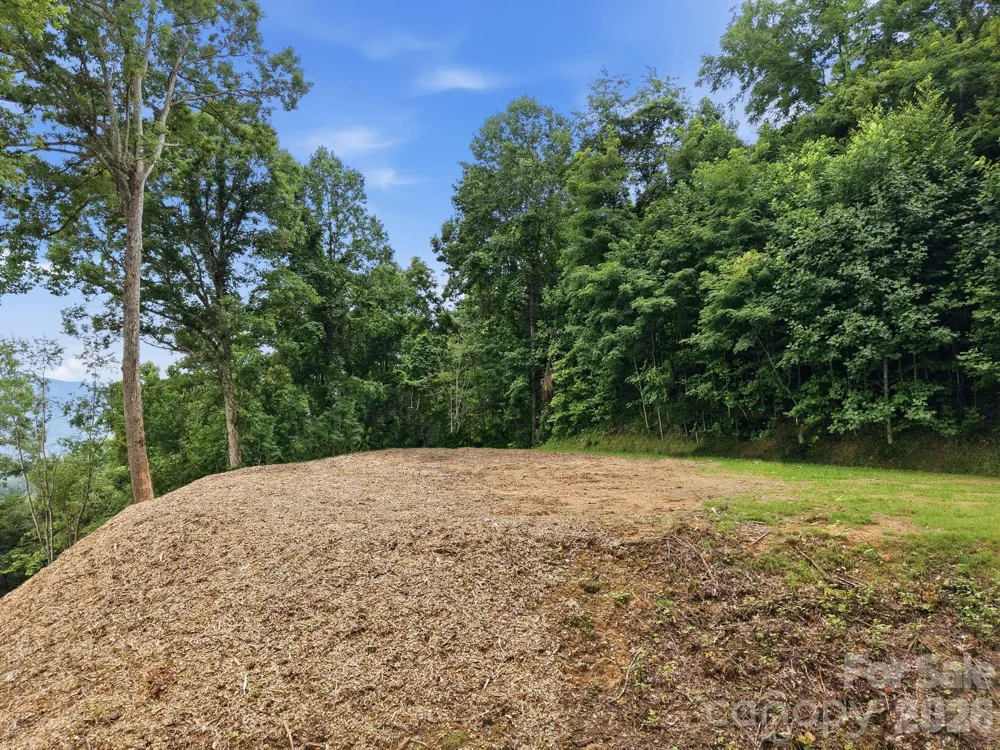 99999 Davidson Gap Road #79 Leicester, NC 28748