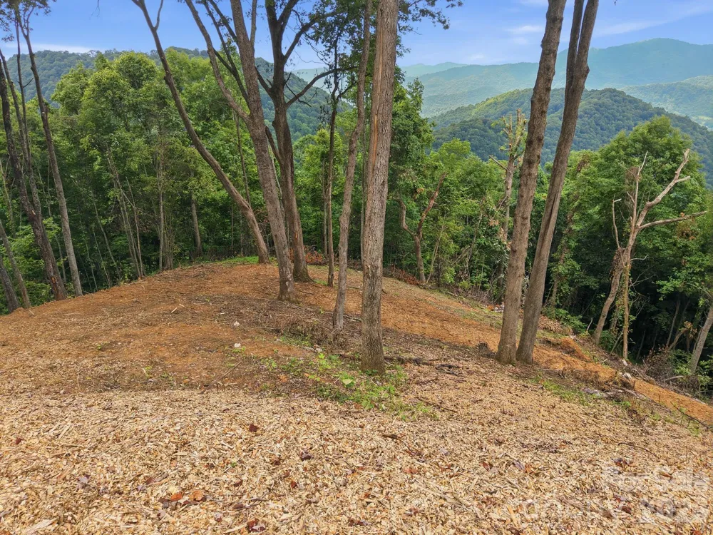 99999 Davidson Gap Road #79 Leicester, NC 28748