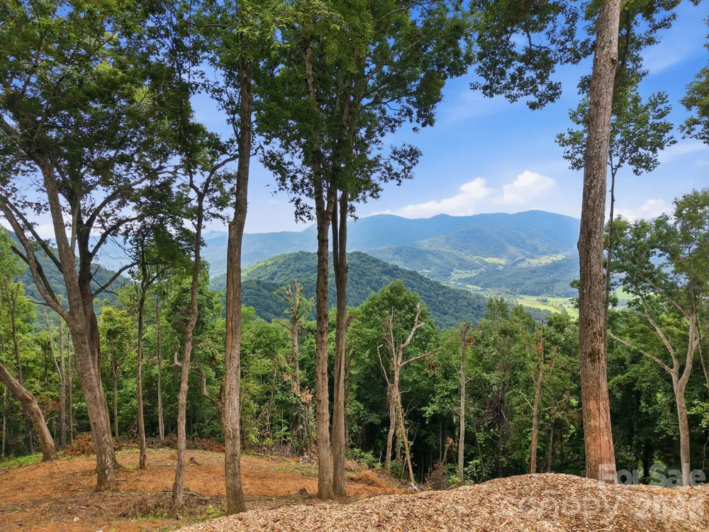 99999 Davidson Gap Road #79 Leicester, NC 28748