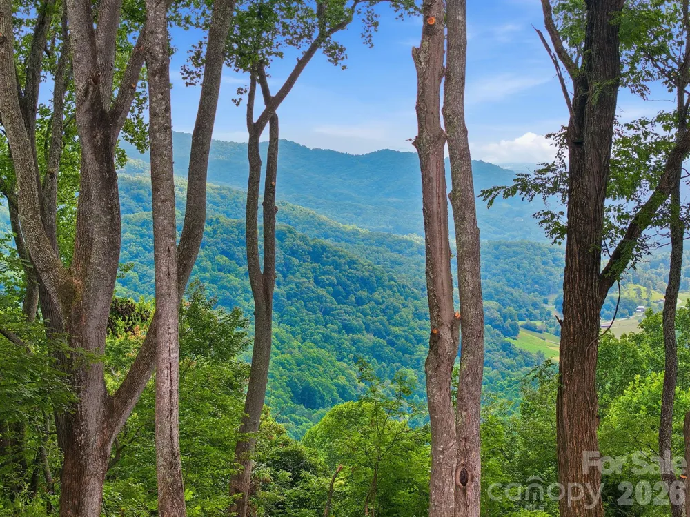 99999 Davidson Gap Road #79 Leicester, NC 28748