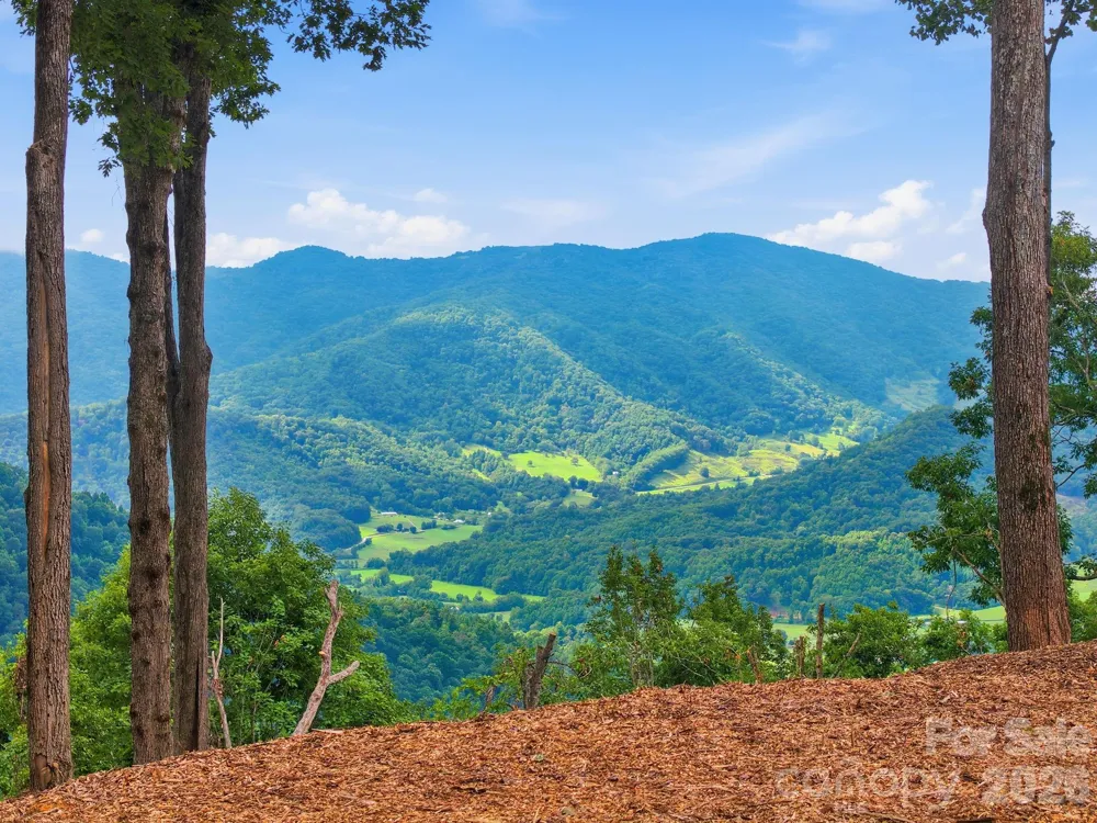 99999 Davidson Gap Road #79 Leicester, NC 28748