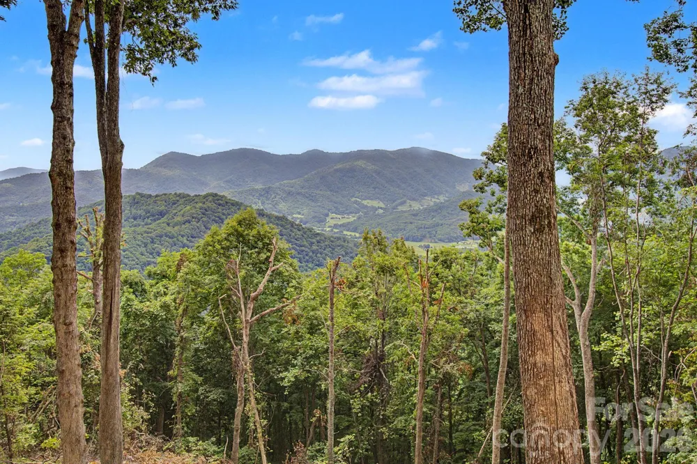 99999 Davidson Gap Road #79 Leicester, NC 28748