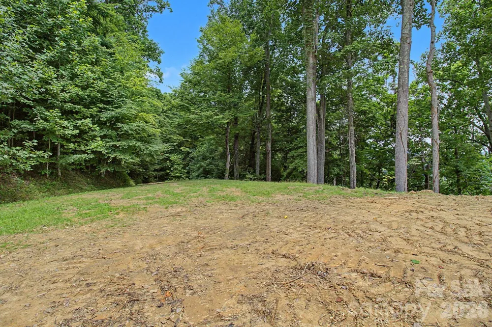 99999 Davidson Gap Road #79 Leicester, NC 28748