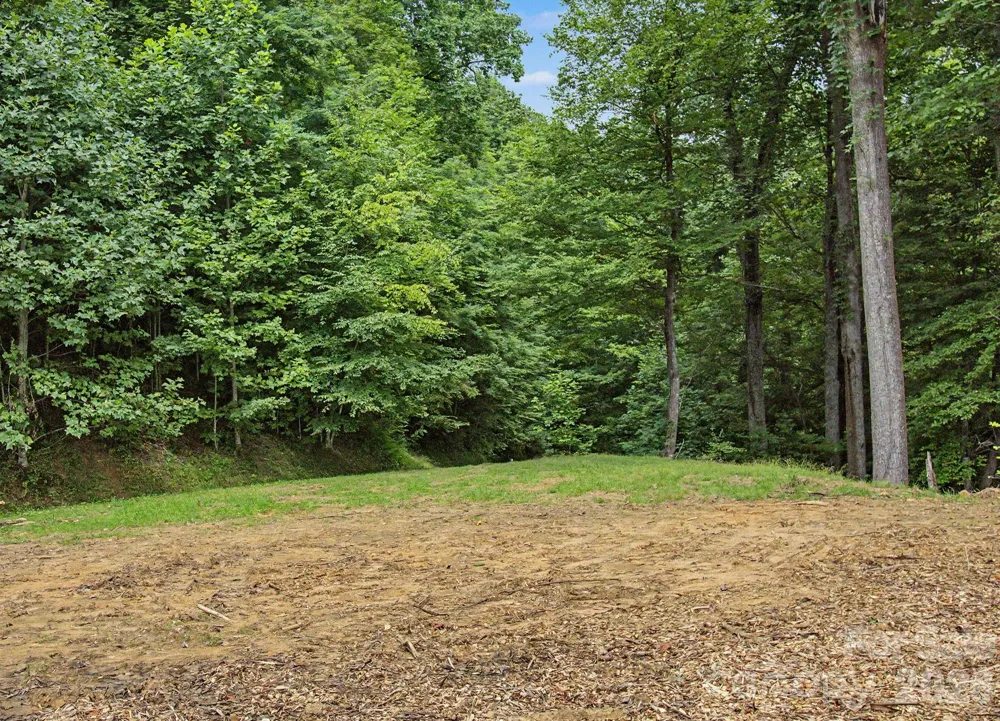 99999 Davidson Gap Road #79 Leicester, NC 28748