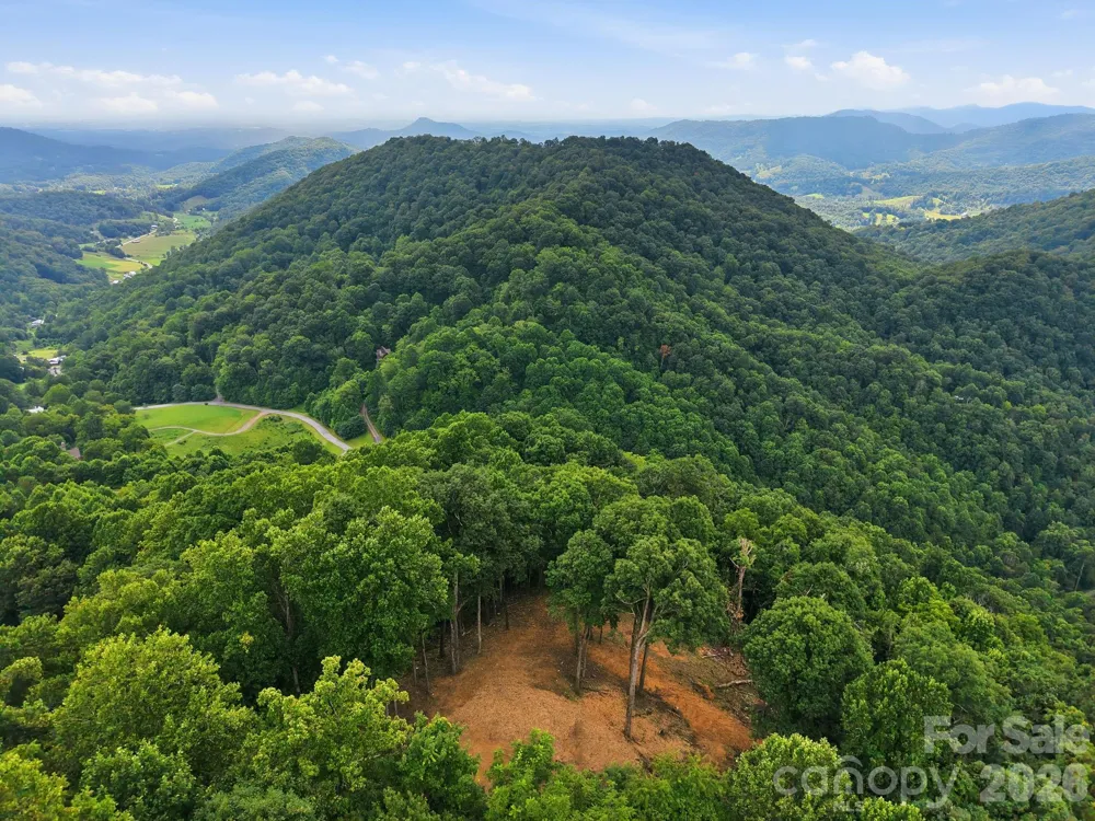 99999 Davidson Gap Road #79 Leicester, NC 28748