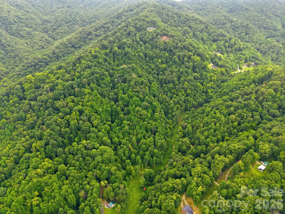 99999 Davidson Gap Road #79 Leicester, NC 28748