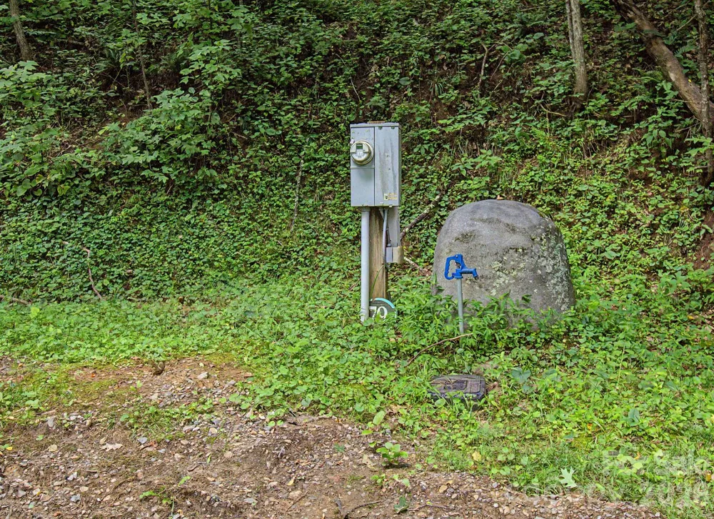 99999 Davidson Gap Road #79 Leicester, NC 28748