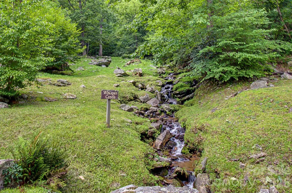99999 Davidson Gap Road #79 Leicester, NC 28748