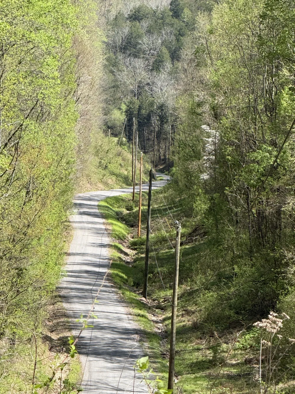 0 Wilmouth Creek Rd Liberty, TN 37095