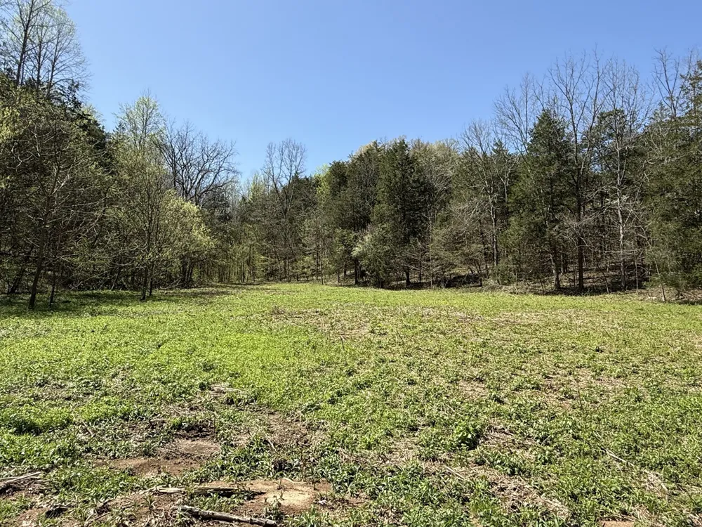0 Wilmouth Creek Rd Liberty, TN 37095