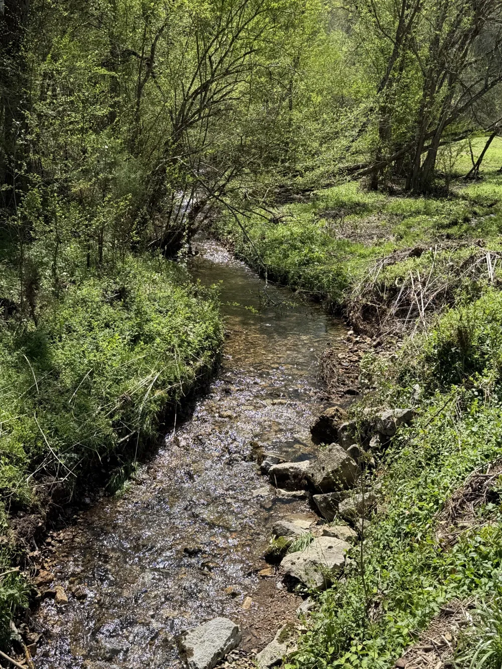 0 Wilmouth Creek Rd Liberty, TN 37095