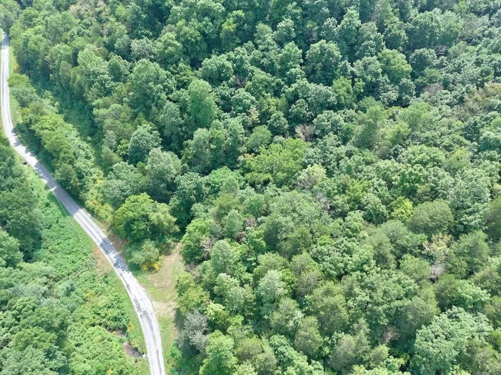 0 Wilmouth Creek Rd Liberty, TN 37095