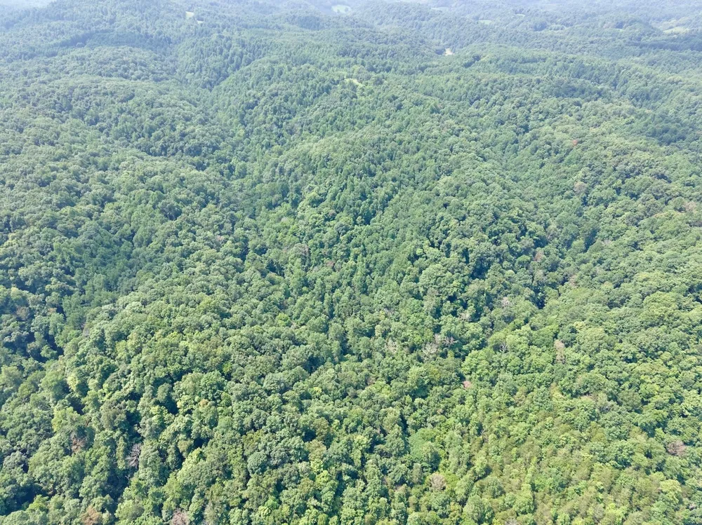 0 Wilmouth Creek Rd Liberty, TN 37095