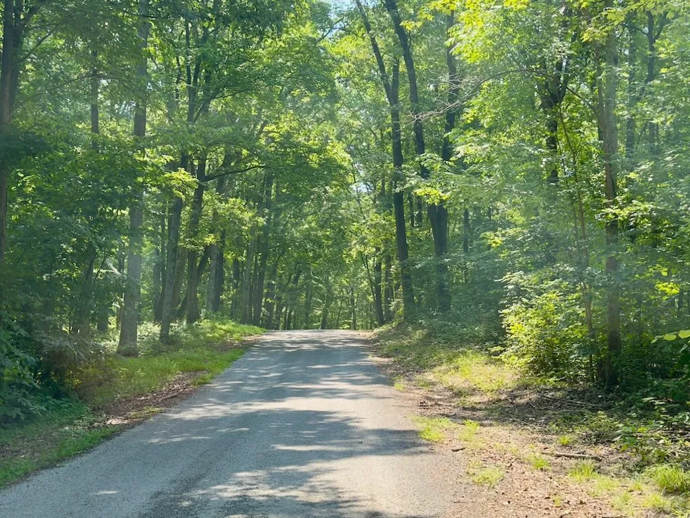 0 Wilmouth Creek Rd Liberty, TN 37095