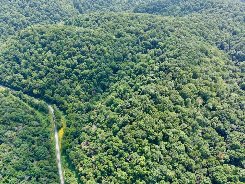 0 Wilmouth Creek Rd Liberty, TN 37095