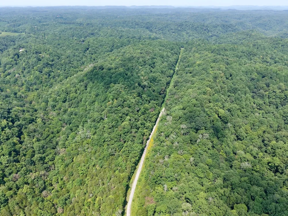 0 Wilmouth Creek Rd Liberty, TN 37095