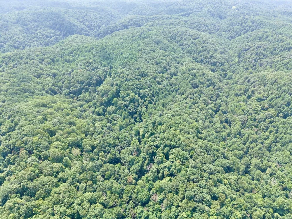 0 Wilmouth Creek Rd Liberty, TN 37095