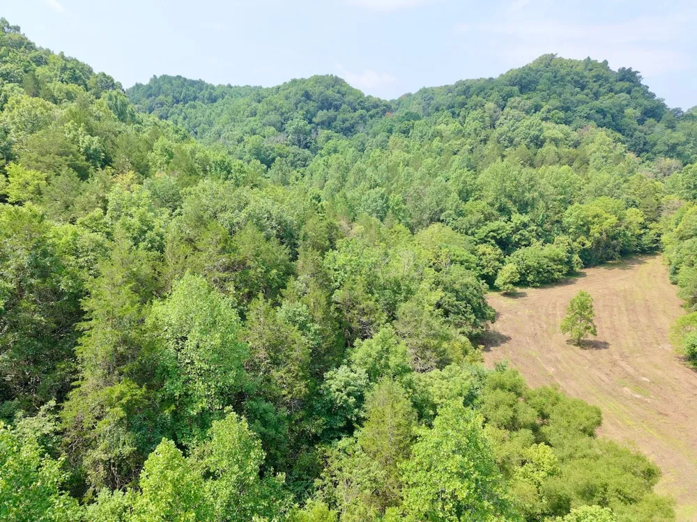 0 Wilmouth Creek Rd Liberty, TN 37095