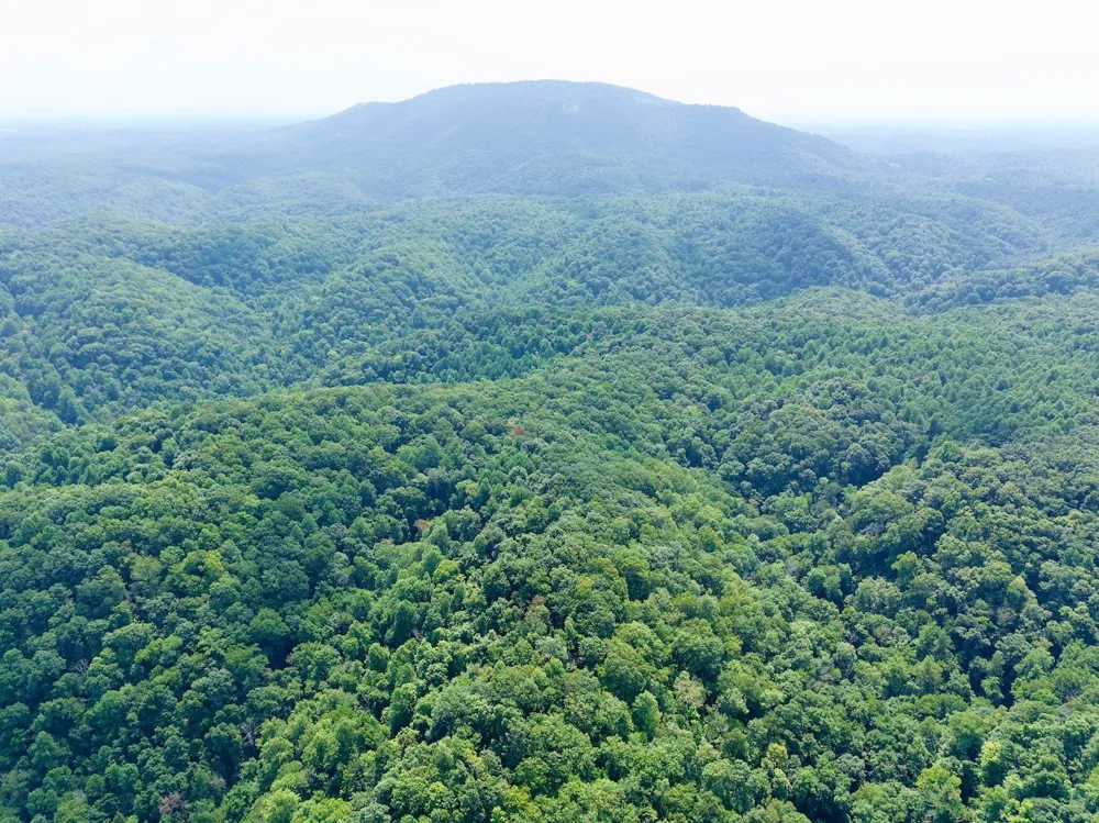 0 Wilmouth Creek Rd Liberty, TN 37095