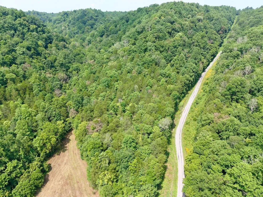 0 Wilmouth Creek Rd Liberty, TN 37095