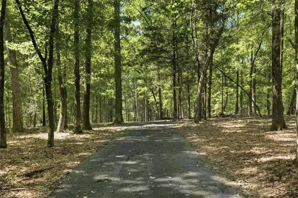 21 River Road Woodland, GA 31836