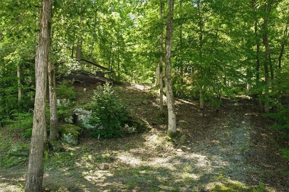 21 River Road Woodland, GA 31836