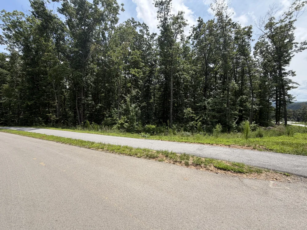 8482 Big Sky Lane Signal Mountain, TN 37377