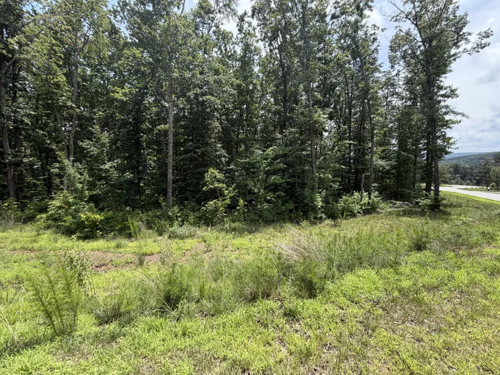 8482 Big Sky Lane Signal Mountain, TN 37377
