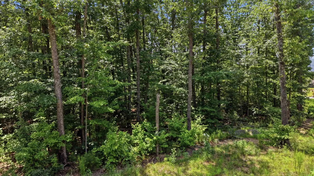 8482 Big Sky Lane Signal Mountain, TN 37377