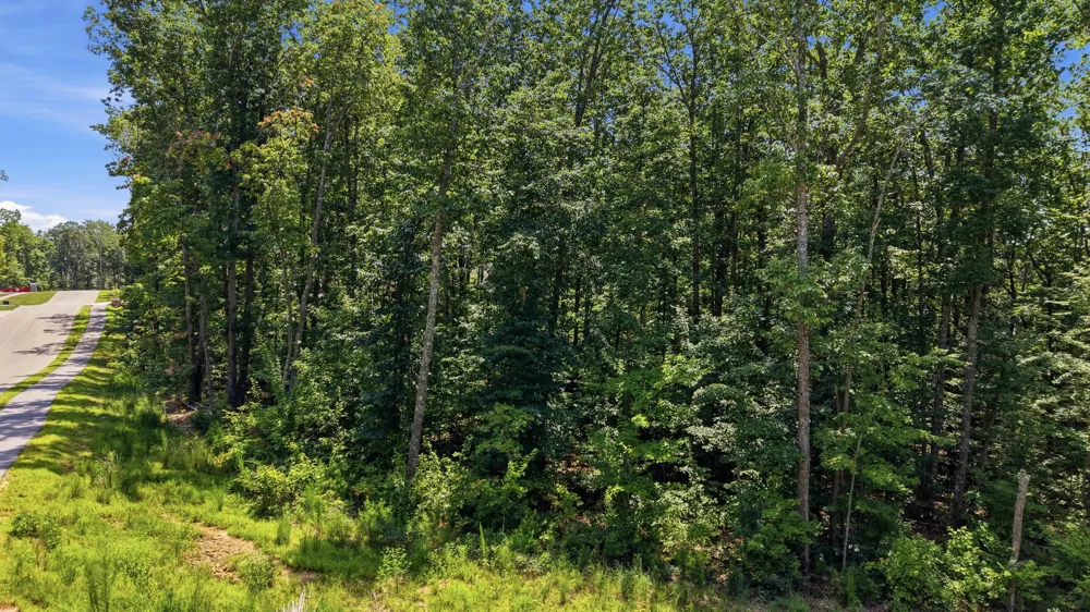 8482 Big Sky Lane Signal Mountain, TN 37377
