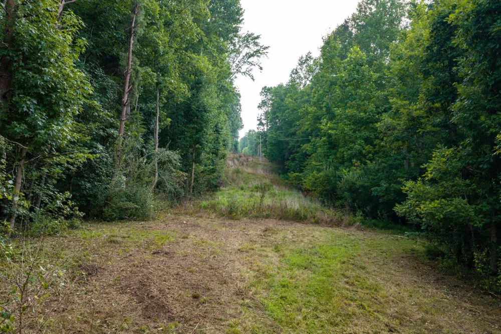 Green Town Road Tracy City, TN 37387