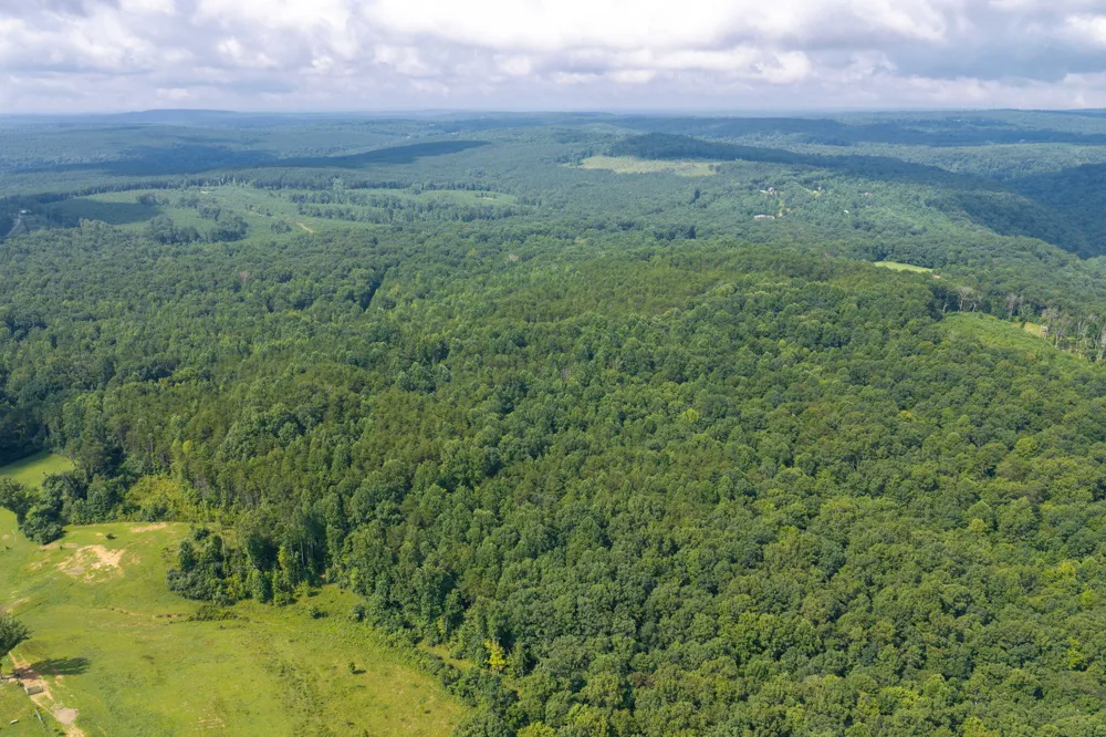Green Town Road Tracy City, TN 37387