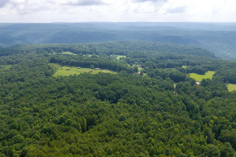 Green Town Road Tracy City, TN 37387