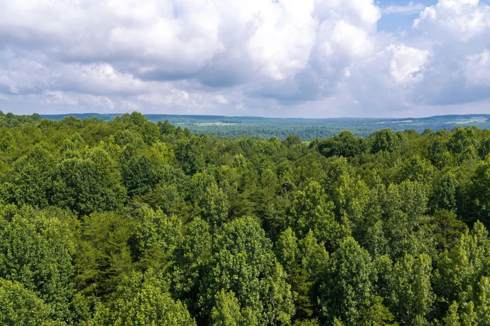 Green Town Road Tracy City, TN 37387