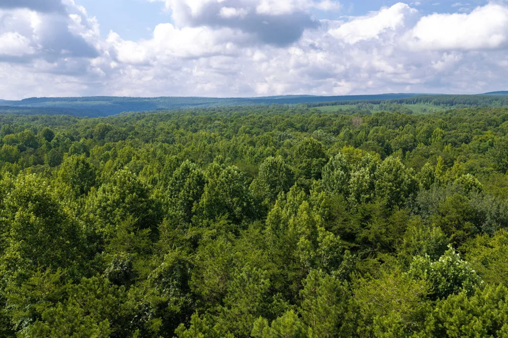 Green Town Road Tracy City, TN 37387