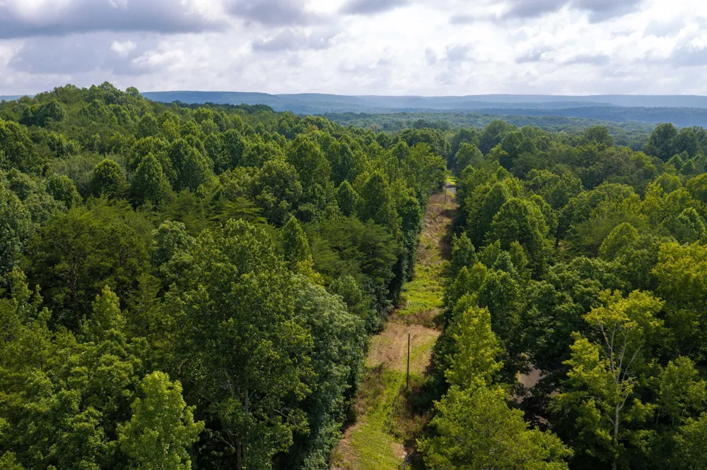 Green Town Road Tracy City, TN 37387
